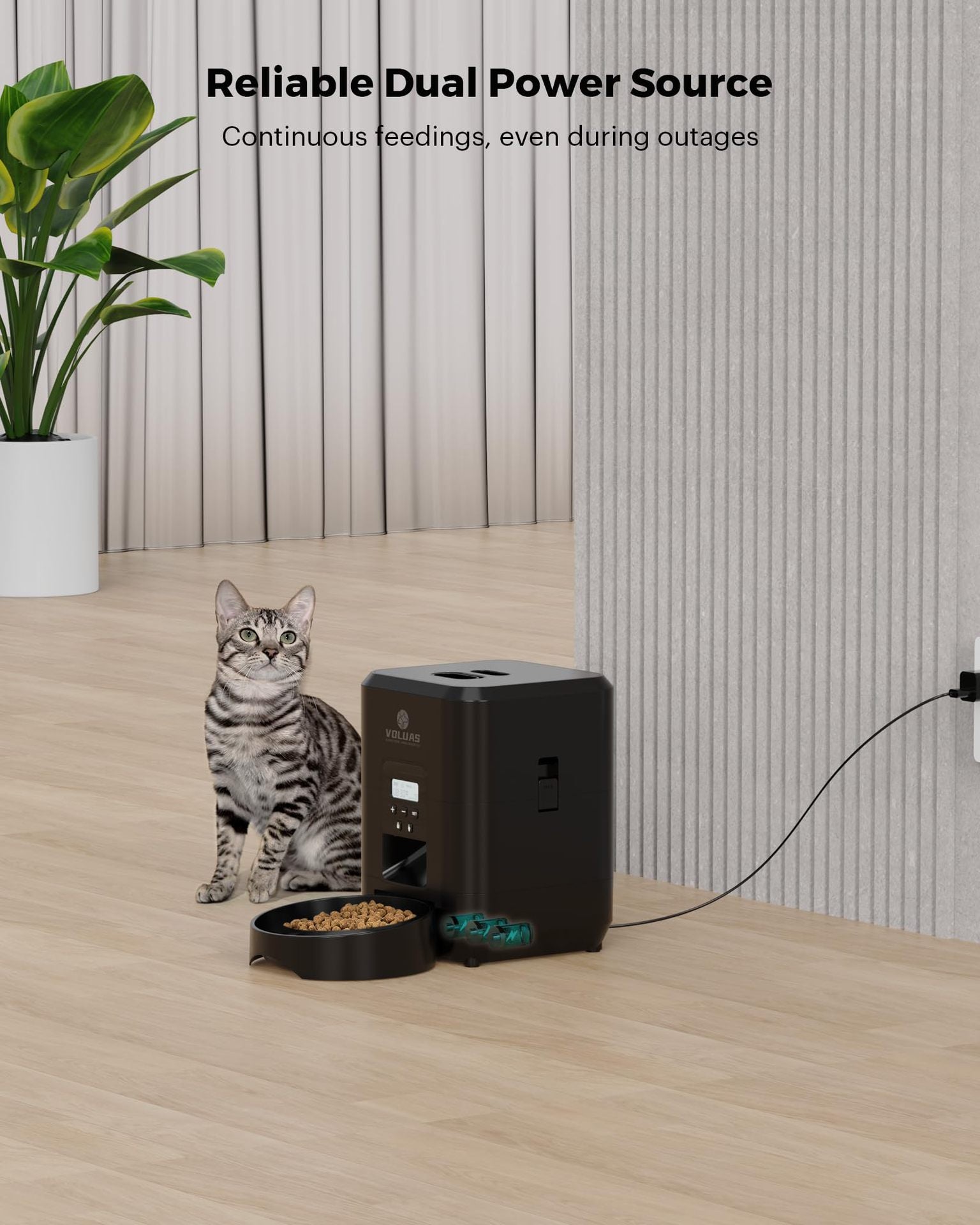 Pet Intelligent Timing Quantitative Remote Automatic Pet Feeder